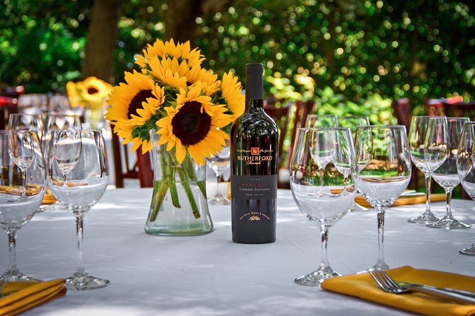 Sunflower with Cabernet